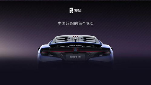 仰望汽车有多少款